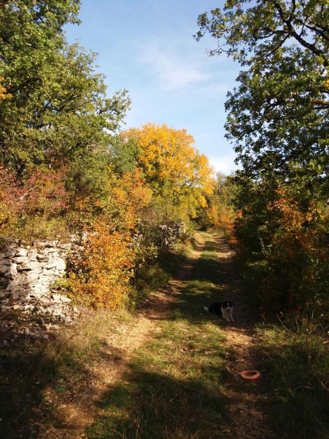 Les Trois Prunelles Saint-Pierre-Toirac Exteriör bild